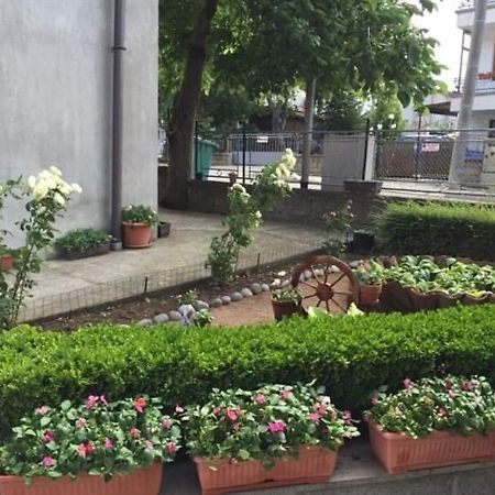 Къща Мечта Hotell Tjernomorets Exteriör bild